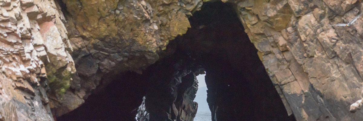 Ica + Islas Ballestas + Paracas desde Lima 2 días y 1 noche en Lima